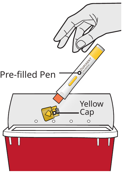 A diagram showing the Dupixent pre-filled pen and its components.