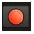Screenshot of the Record button for starting video recording.
