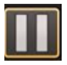 Screenshot of the Pause button for stopping video recording.
