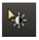 Screenshot of the In-Viewport toolbar in the Biopsy workflow, showing gray level adjustment tools.