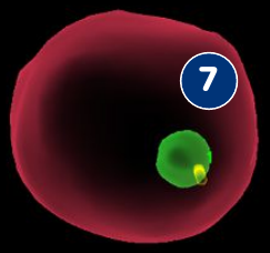 A user interface screenshot or diagram showing keyboard and mouse shortcuts for the Biopsy workflow.