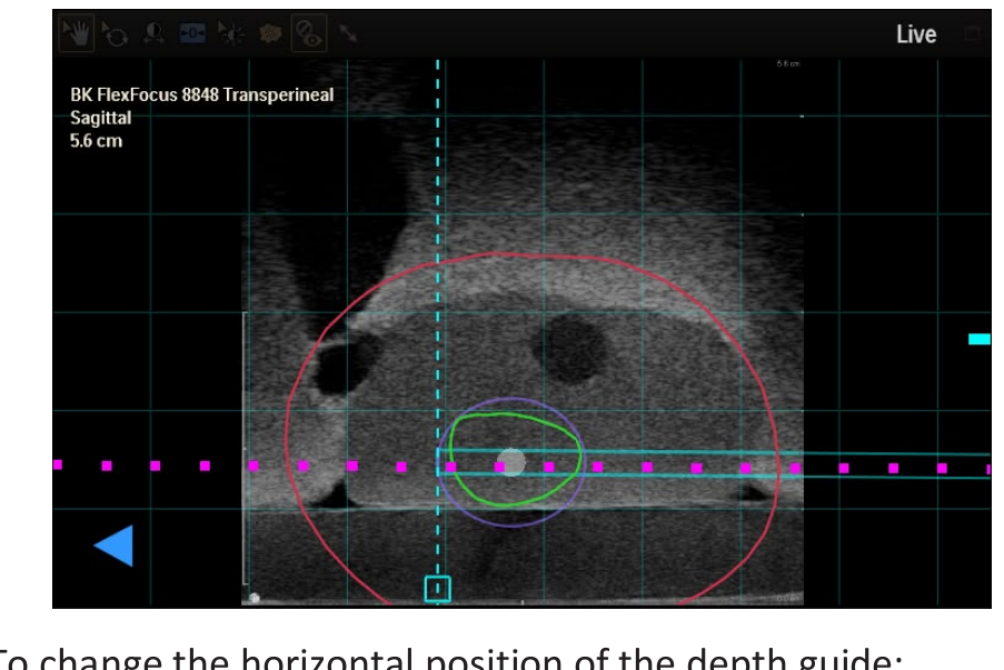 Screenshot showing the depth guide as a vertical line in the Live view.