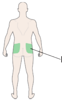 Diagram showing the plunger inside the pen.