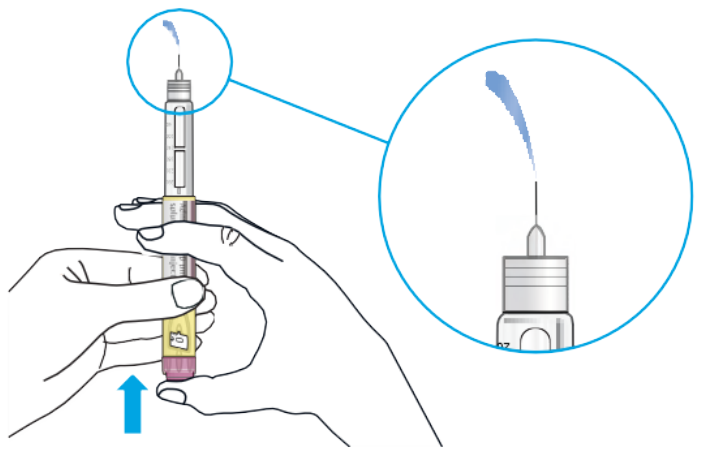 Diagram showing the plunger inside the pen.